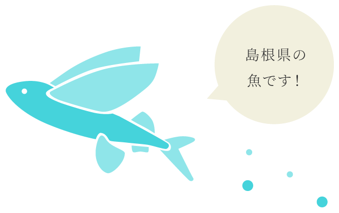 島根県産の魚です！